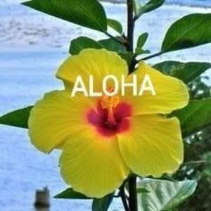 Meet your Posher, Seli